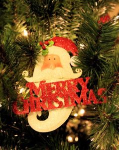 christmas appeal (Small)