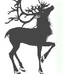 reindeer