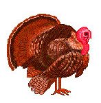 turkey