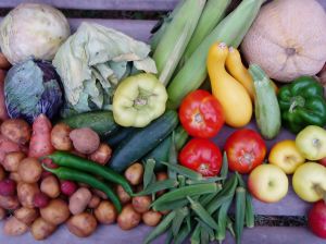 six-steps-pic-HEALTHY-LIFESTYLE