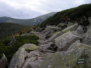 Sports Challenge 2012 THREE PEAKS PIC