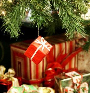 5 stress free christmas photo 1 (Small)